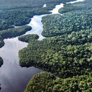 felakete geri sayim dunyanin en buyuk akcigeri kuruyor EiQpgNnb