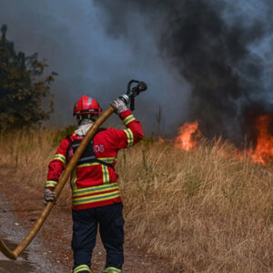 portekiz yanginlarla mucadele ediyor yuzlerce kisi sondurme calismalarinda 6anV73kd