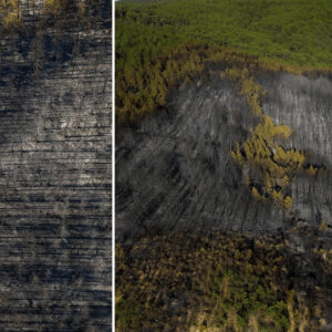 usakta ormanlik alanda cikan yangin buyuk oranda kontrol altina alindi pwILW1na