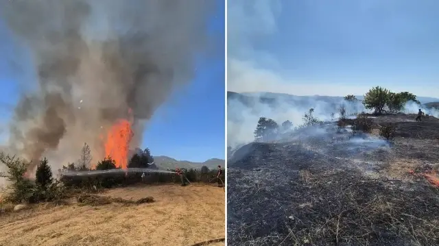 bursada ormanlik alanda cikan yangina mudahale ediliyor 322W1N9C