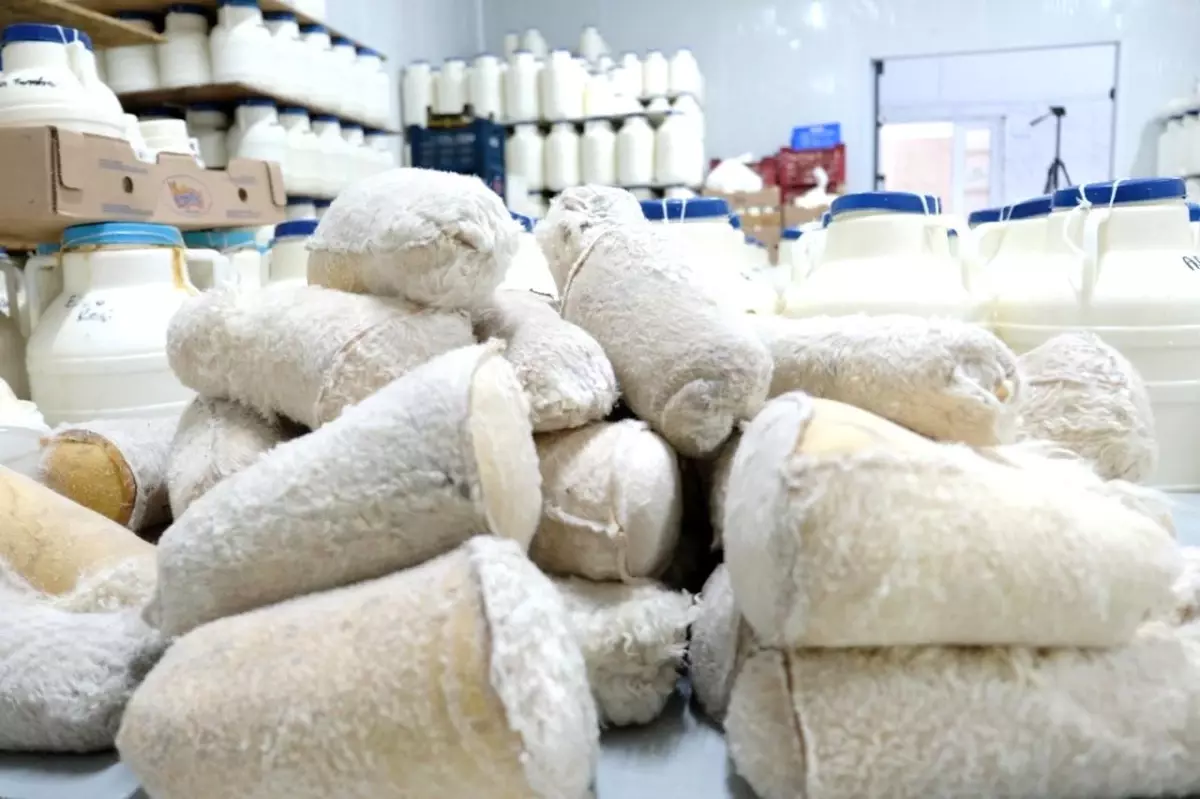 erzincan tulum peynirinin essiz lezzeti M9OjFjKB