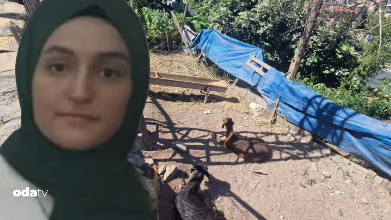 kahreden olay keciye dokundu hayatini kaybetti mvN3FaF8