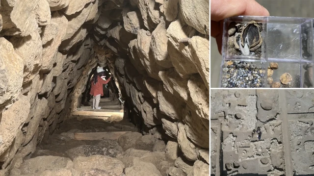 nerikte bulundu uc bin 500 yillik findik fosili UFfLq5zn