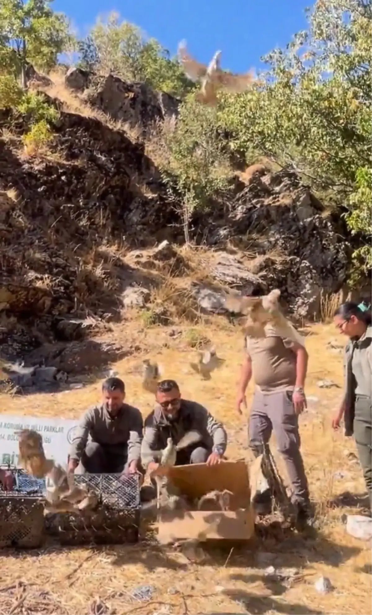 bitliste 90 kinali keklik dogaya salindi tSJ9IePZ