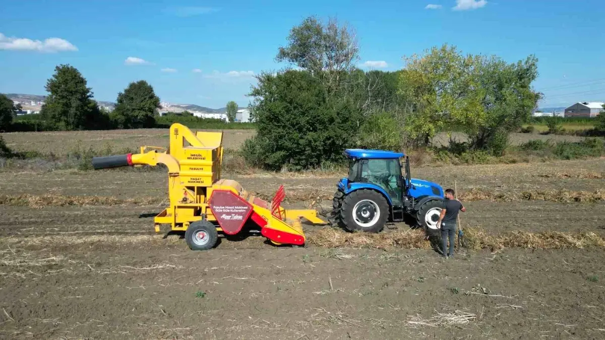 inegolde cerrah kuru fasulyesi hasadi basladi SKus2Y42