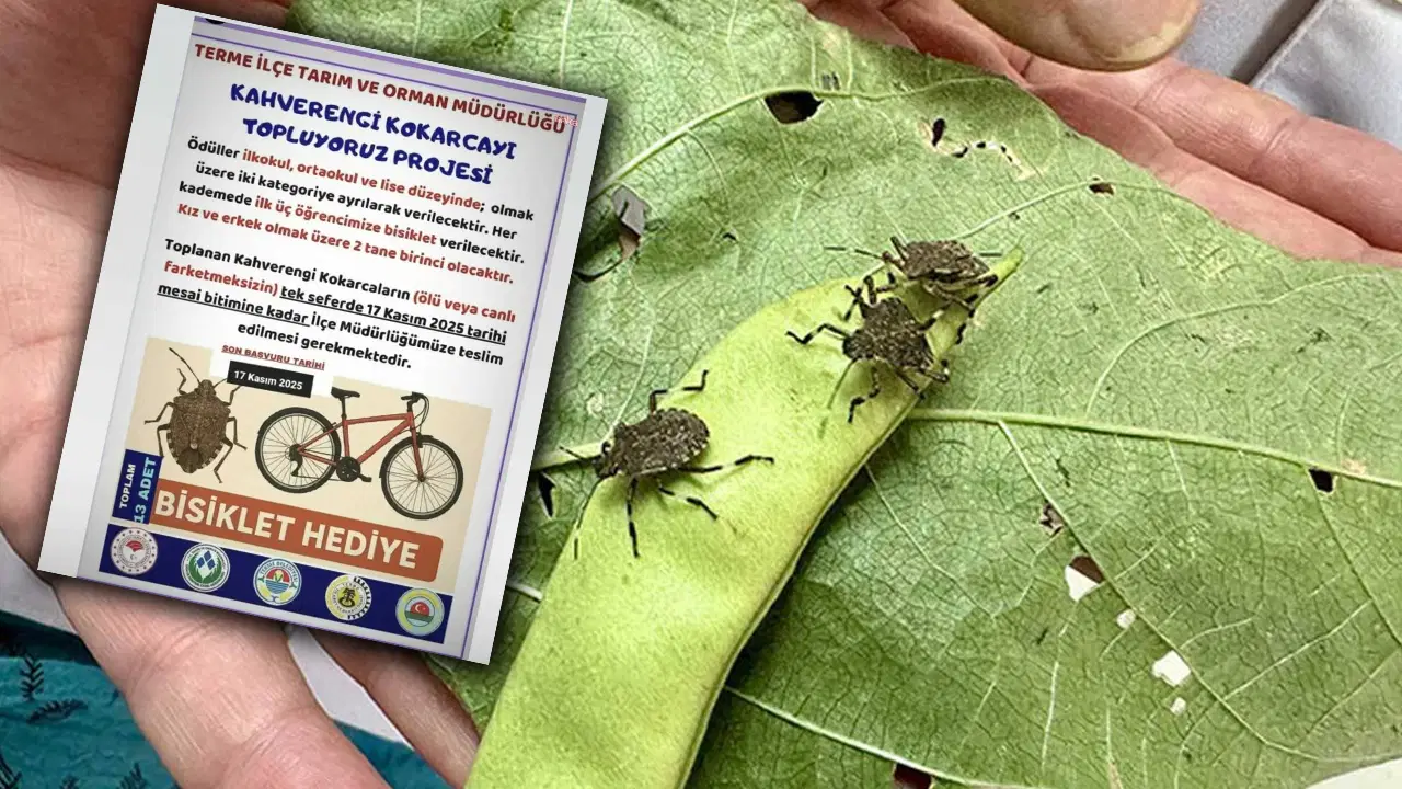 kokarca toplama projesine chpden tepki bilimle mucadele edecegimize cocuklari kullaniyoruz FOTpSymn.jpg