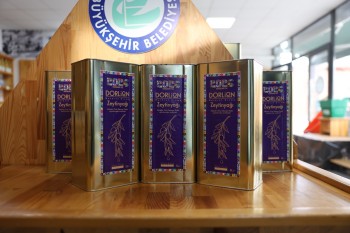 Eskişehir Büyükşehir Belediyesi temalı görsel