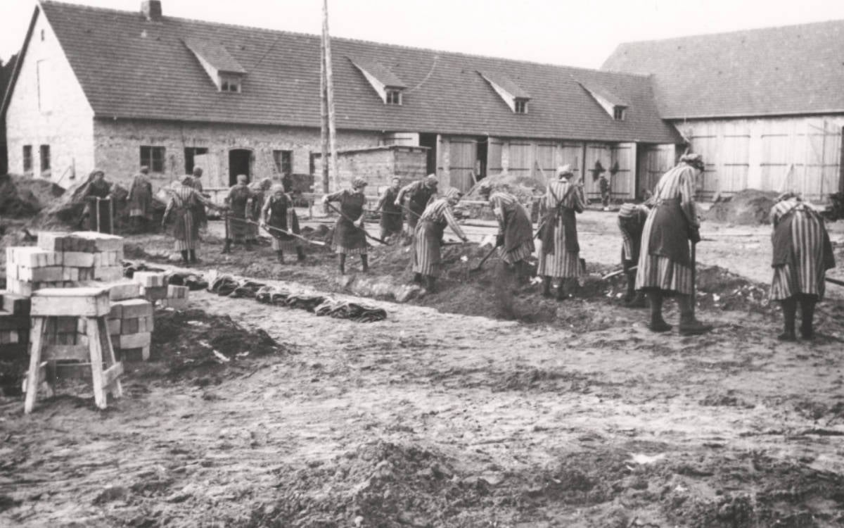 Nazi mektupları, kâğıt restorasyoncularının Holokost’taki rolünü açığa çıkardı