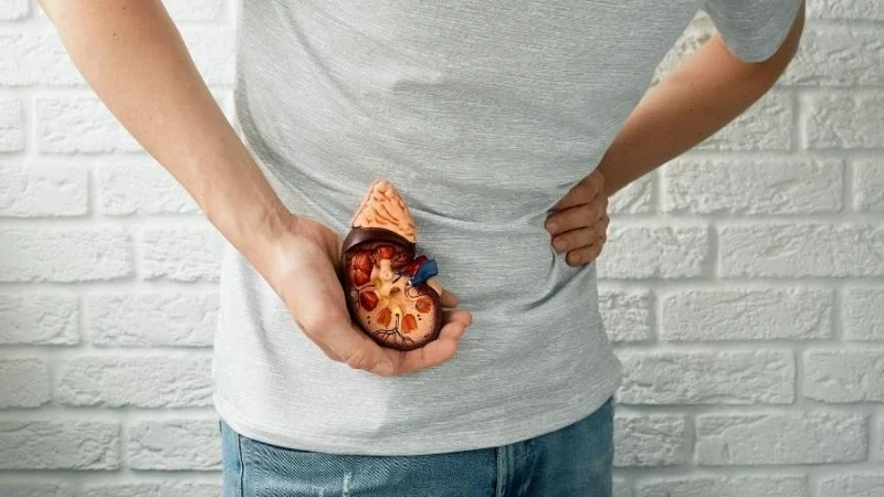 Su Tüketiminin Eksikliği Böbrek Taşı Riskini Artırıyor